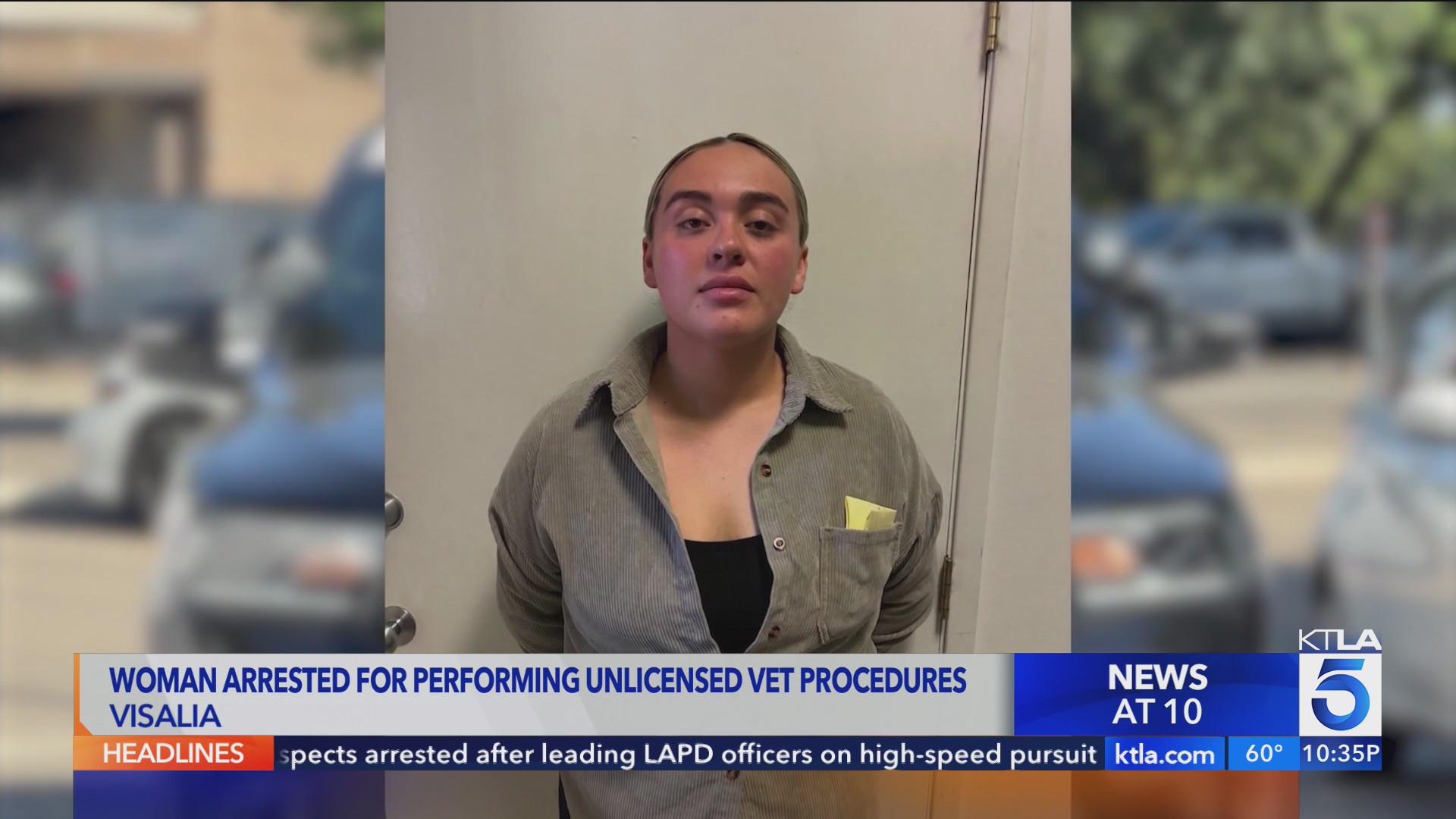 California woman arrested for performing unlicensed vet procedures