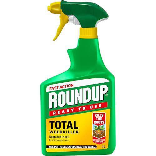 When is the best time to spray weed killer? Experts weigh in