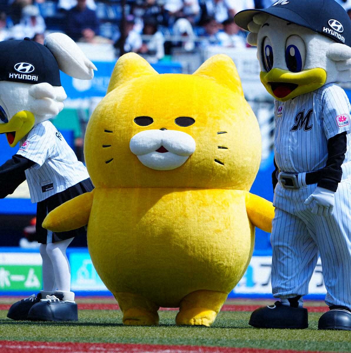 【隠しマイク】それ聞いちゃダメ！ ロッテ・高野脩が“禁断の質問”投げかけ