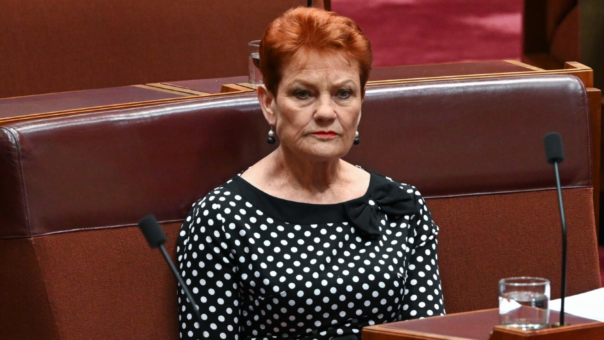 Giant surge in One Nation popularity despite Labor’s control of ...