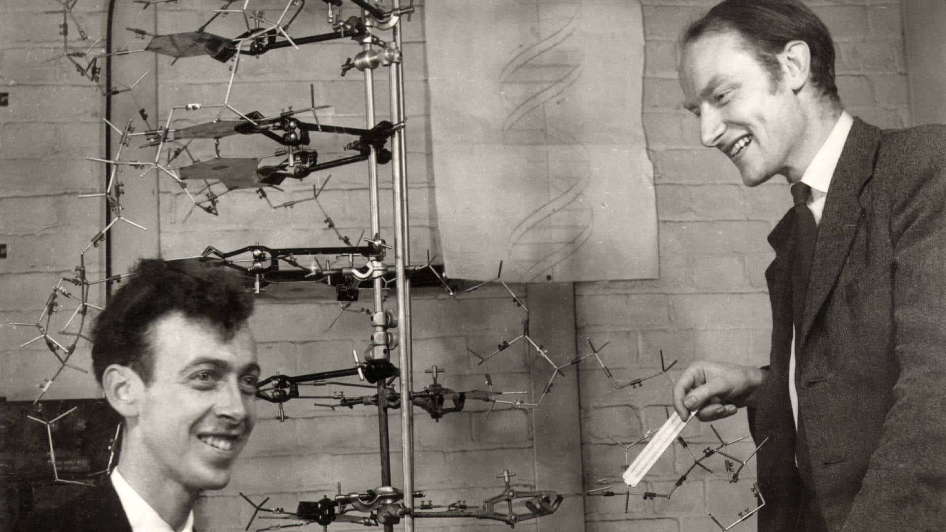 Brilliant minds who cracked impossible mysteries