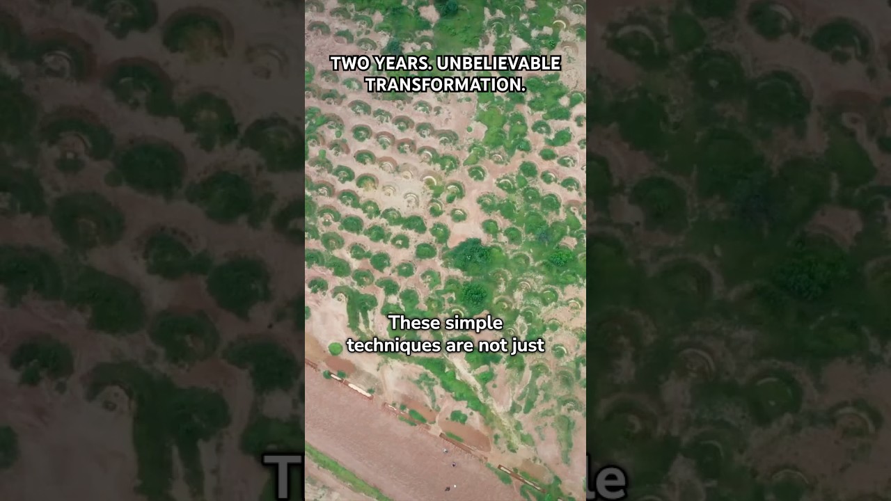 I transformed 300 acres in just 2 years! 🌱