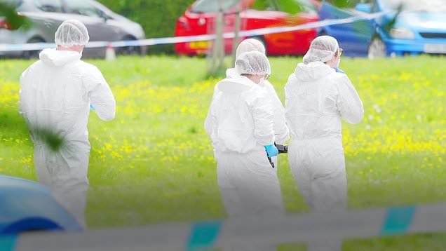 Man and woman dead and three others, including a child, injured in ...