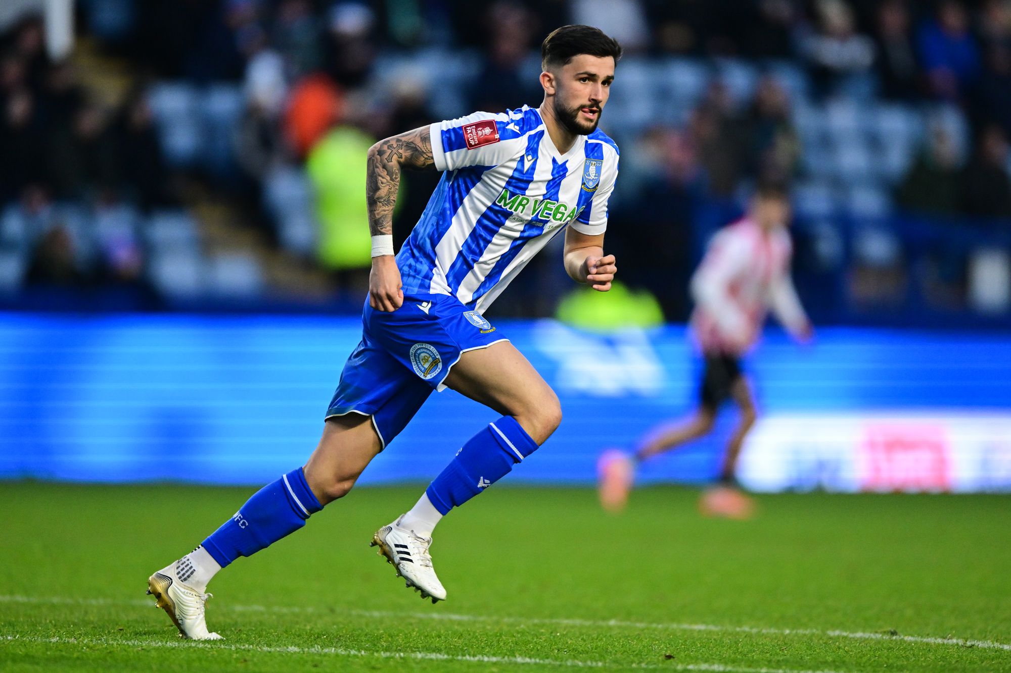 Sheffield Wednesday midfielder Rio Shipston announces exit ahead of ...