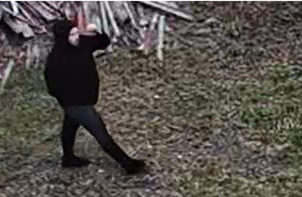 Bennington police search for armed robbery suspect