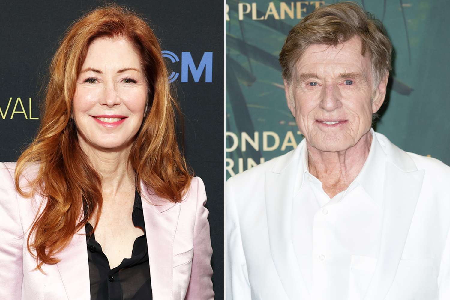 Dana Delany admits she still regrets how she handled meeting Robert ...
