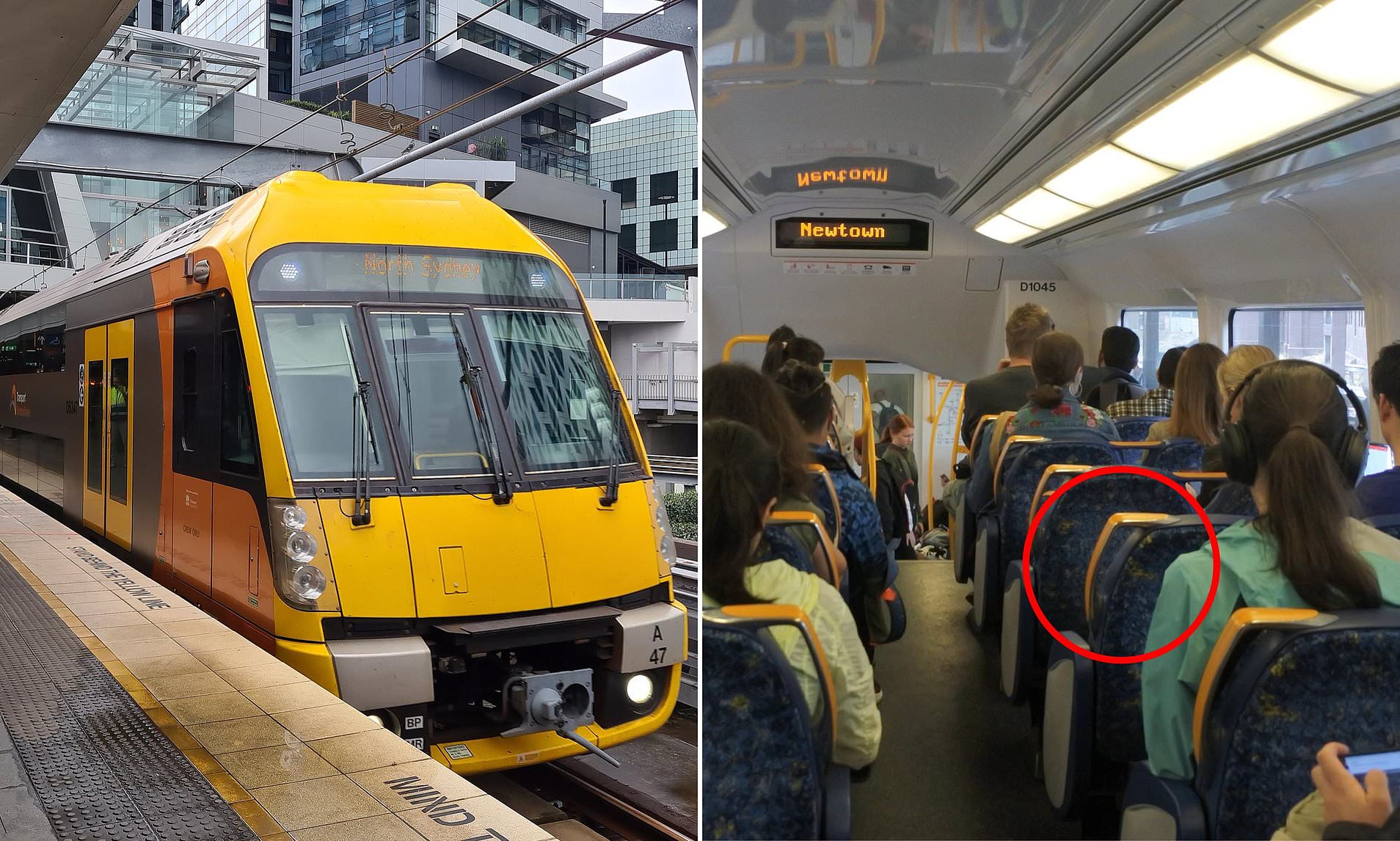Commuter's fury over 'annoying' act on Sydney trains - and everyone agrees