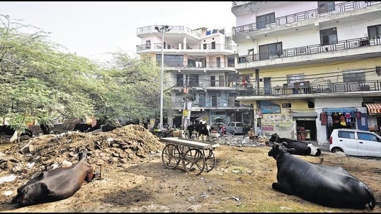 48 Delhi villages move a step closer to being declared urban