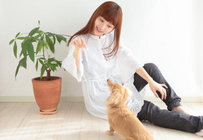 犬が『人に話しかけている』サイン５選 見逃したくないアピールや信頼関係を深める方法まで