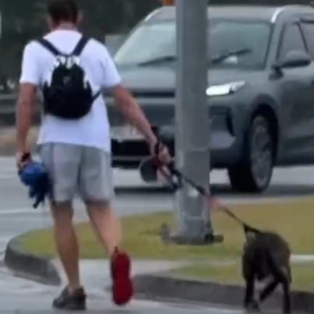 Man charged after dog appears to be abused on busy commute