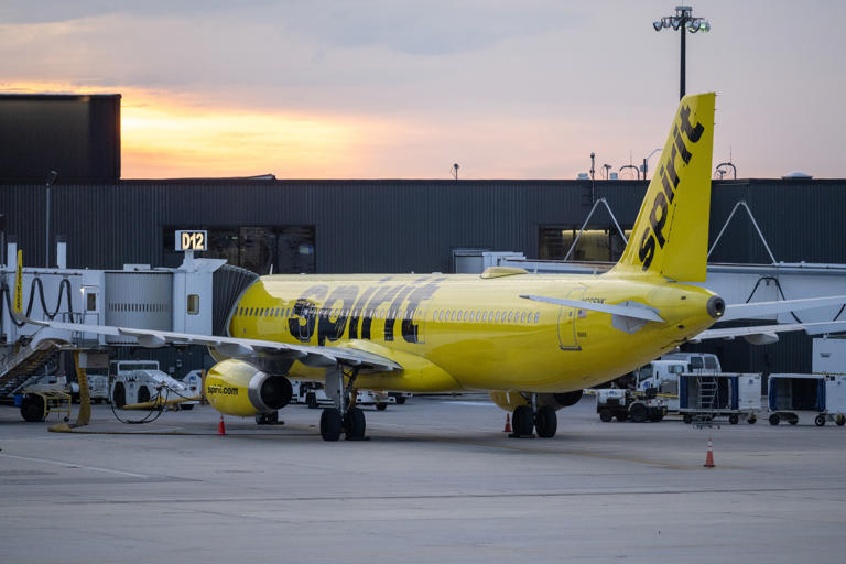 We’ll take it: A TikToker rallies pledges to buy Spirit Airlines after ...