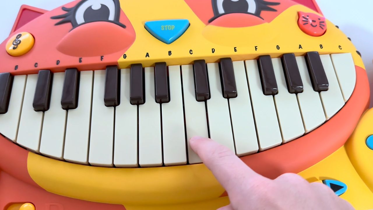 Cat piano serenade that shocked everyone in the room