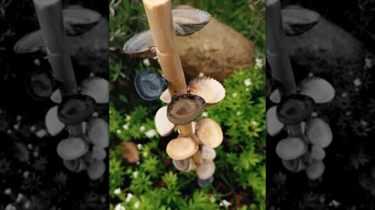 Turn a pile of shells into a cute way to support the bees and ...