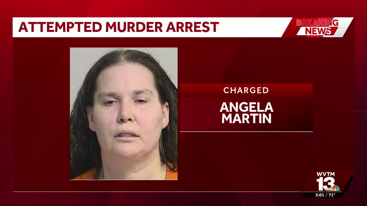Tuscaloosa County mother charged with attempted murder in shooting of ...