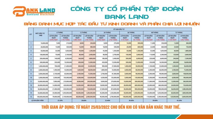 Vụ Công ty Bankland lừa đảo: Lý do không xử lý hình sự giám đốc không biết chữ