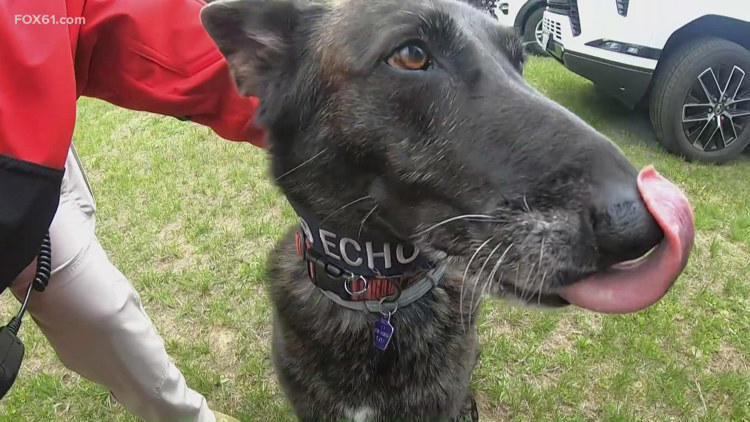 Oxford EMS launches new volunteer K9 team to enhance search and rescue ...
