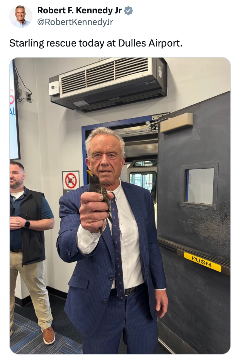 Fears for bird after RFK Jr. 'rescue' at US airport
