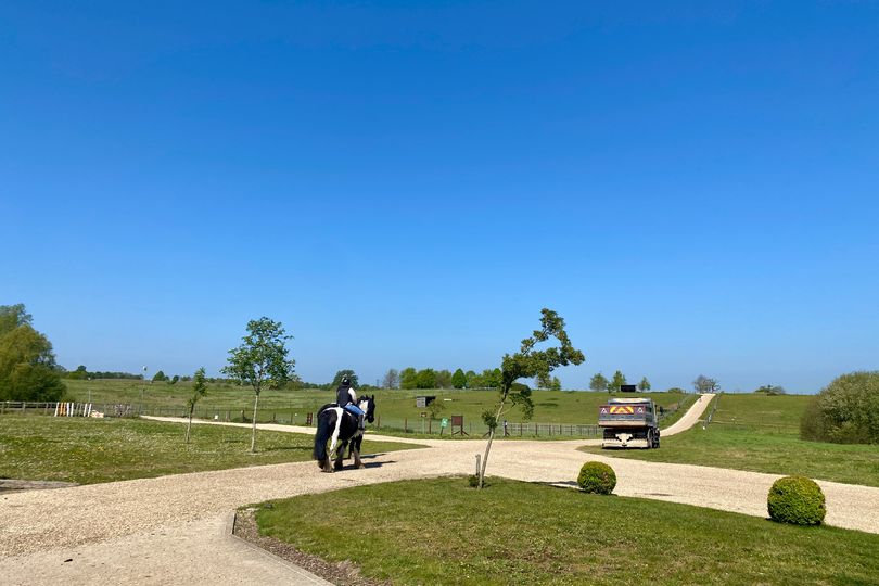 Beautiful pony walk on Surrey border ends at afternoon tea spot in ...