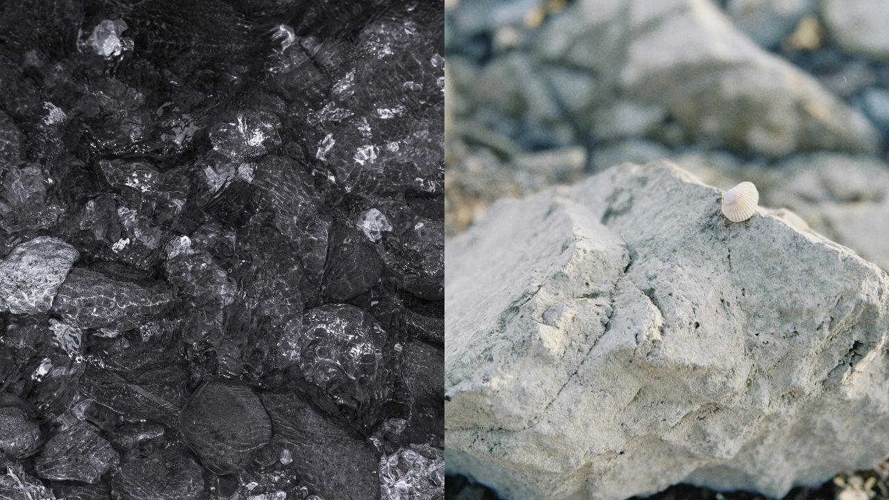Meteorite evidence reshapes theories on Earth's life ingredients