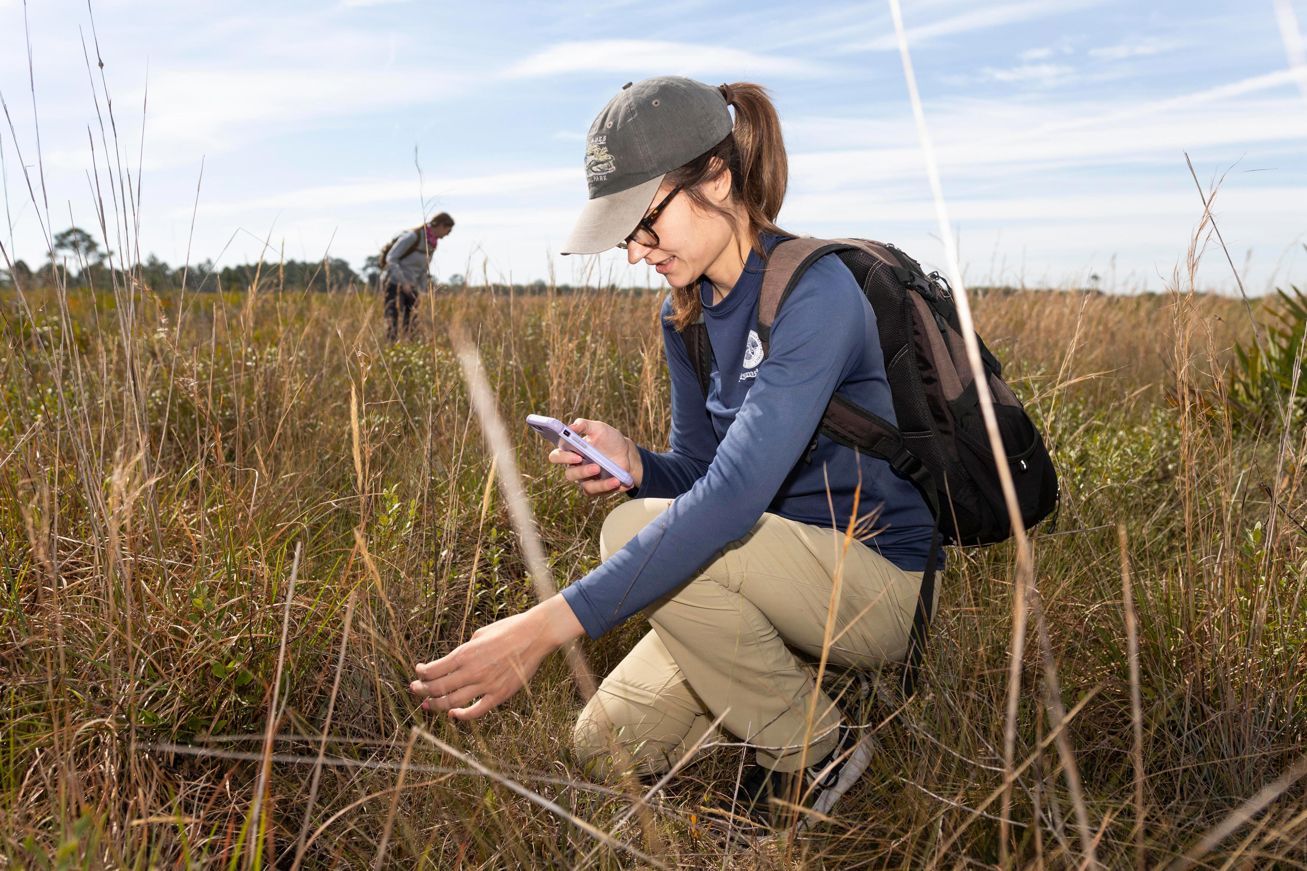 Citizen scientists can make a difference by observing the world