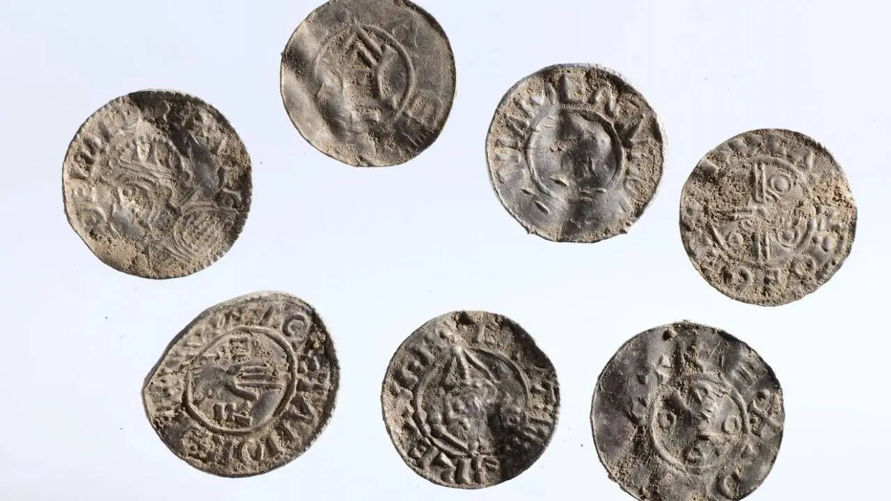 Hidden for 1,000 years: Massive Viking silver coin hoard containing ...