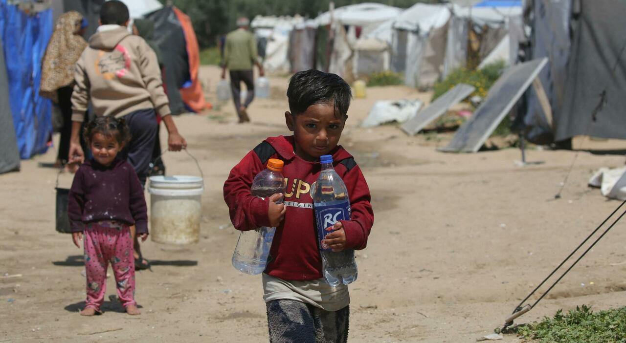 Gaza, l’incubo dei topi: bambini morsi nelle tende e crisi umanitaria ...