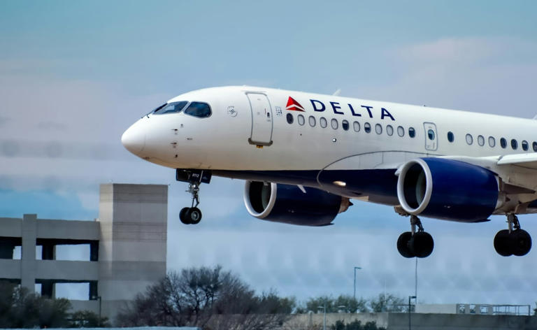 Video: Delta Air Lines passenger arrested after refusing to end phone ...