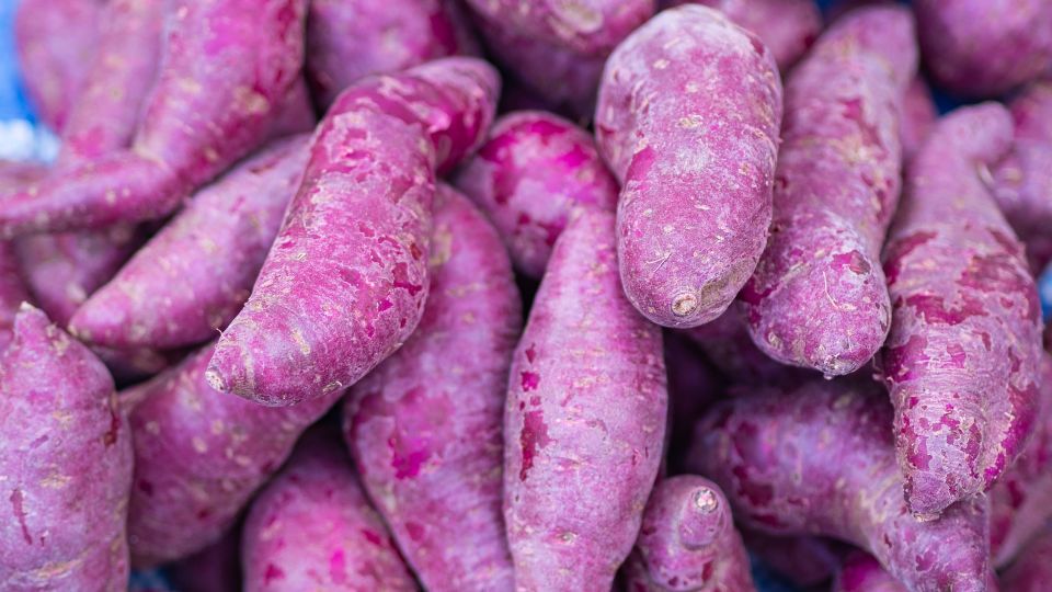 Inside the complex, secretive business of buying ube, the internet’s ...