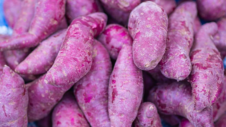 Inside the complex, secretive business of buying ube, the internet’s ...