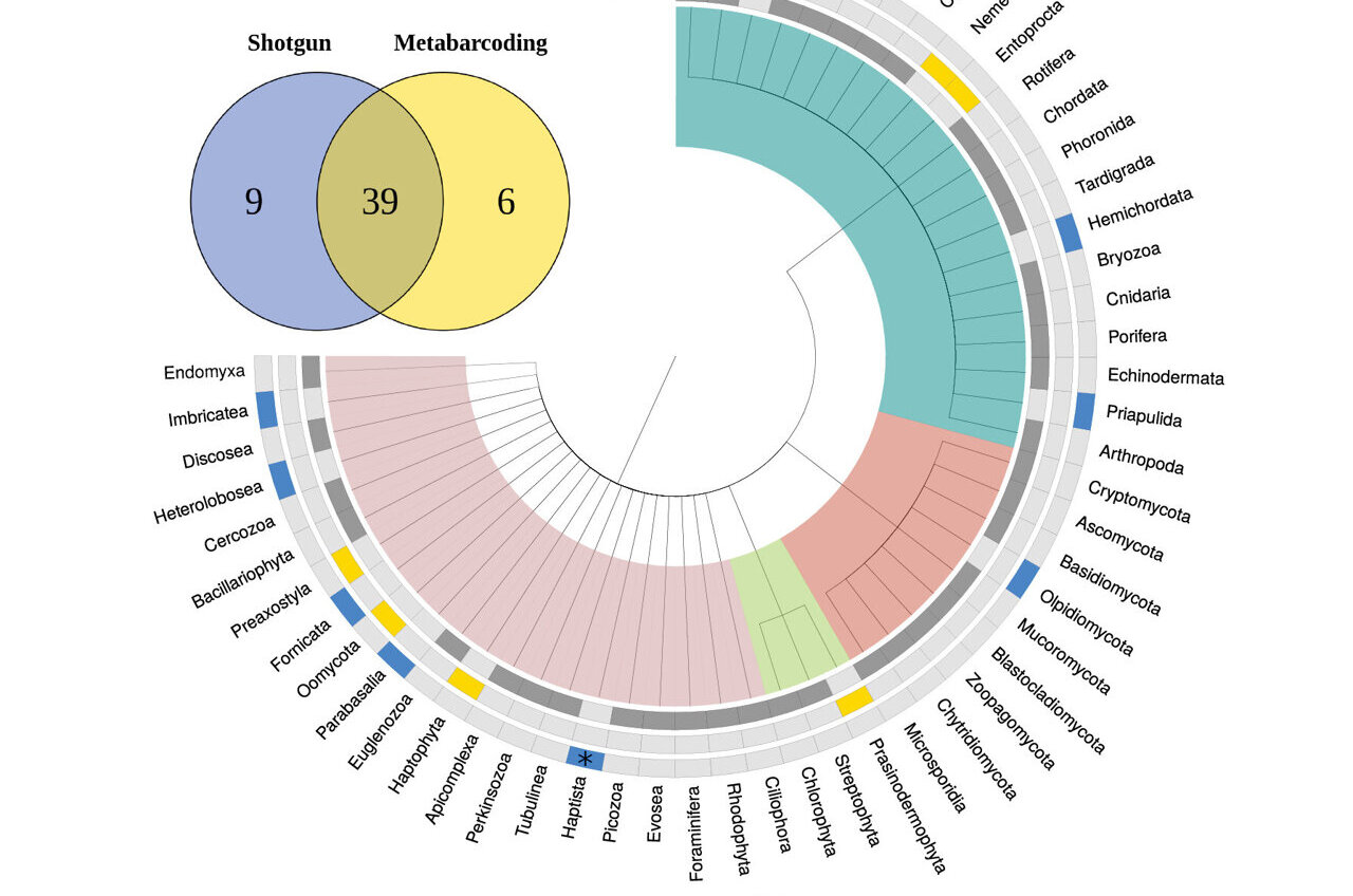 A simple filter swap could advance marine eDNA biomonitoring