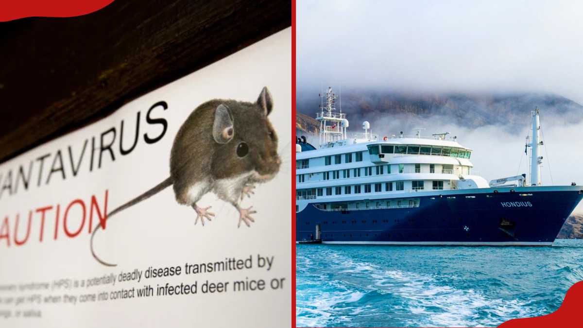 Hantavirus cruise ship outbreak: 3 dead as WHO investigates cases on ...