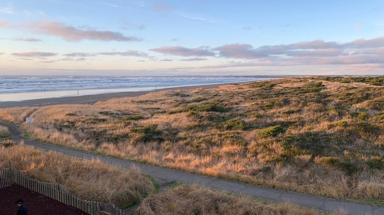 Washington's State Park Hugging The Pacific Northwest Shore Has Quiet ...