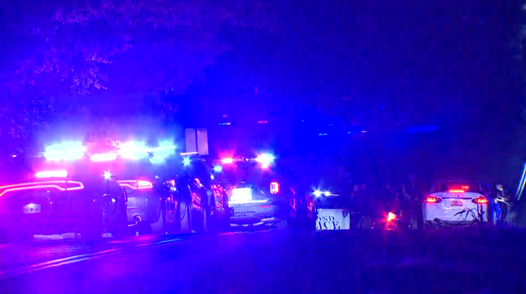 At least 10 injured in mass shooting at Arcadia Lake: What we know
