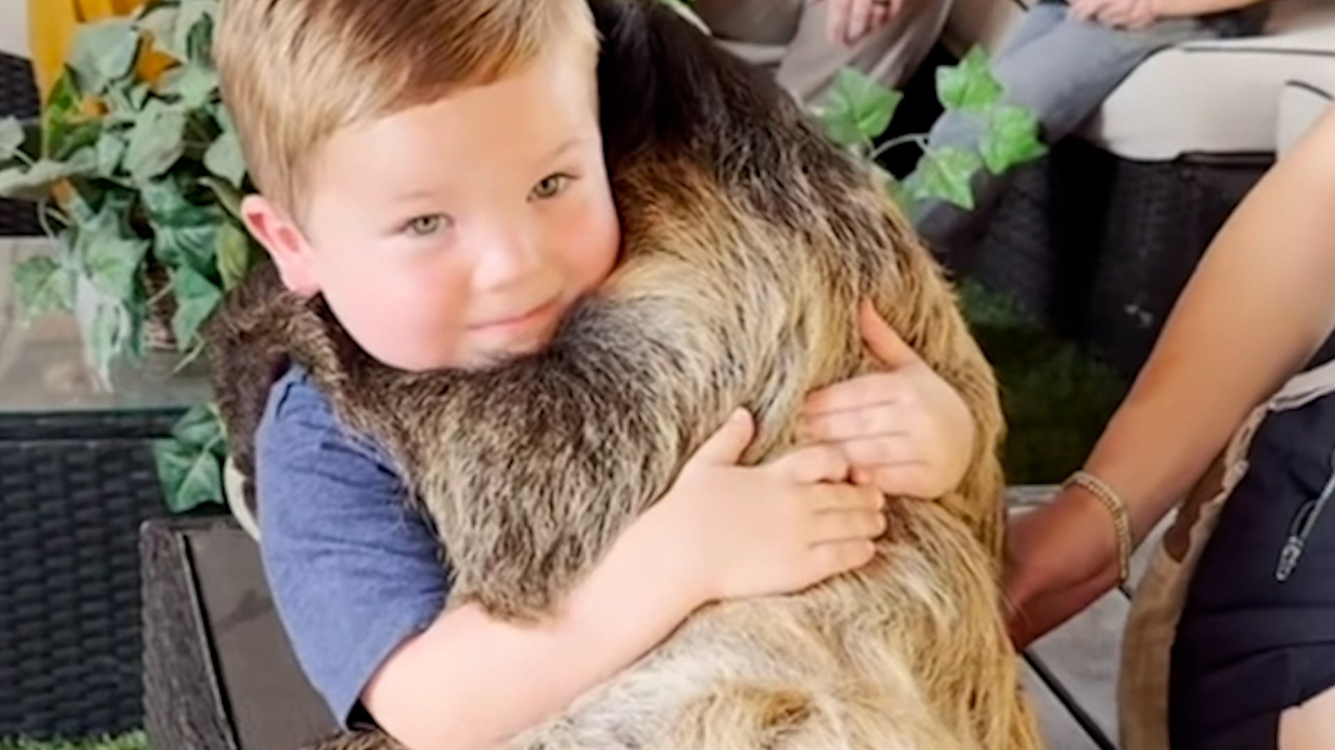 Animal-mad tot shares loving hug with a sloth