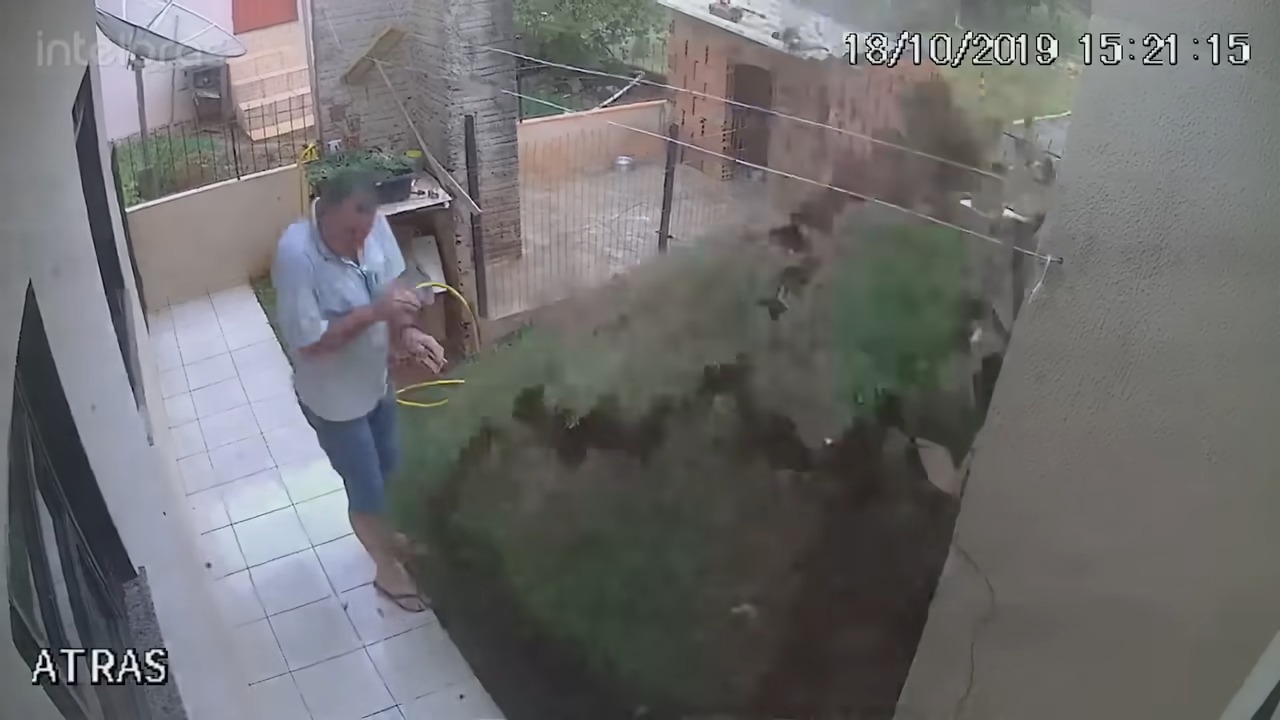 He was too cheap to call pest control - so he blew up his own lawn