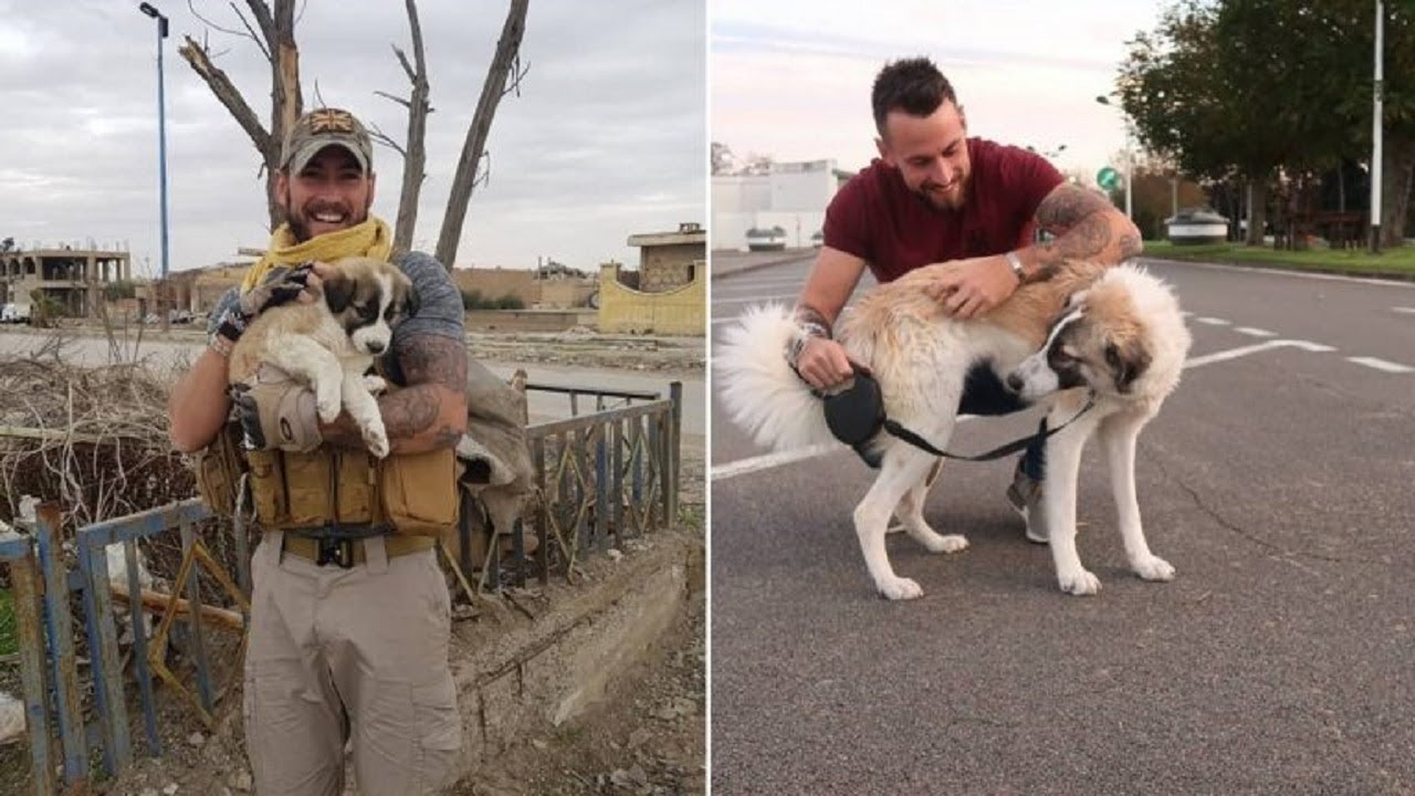 9 months after rescuing a puppy from the rubble in Syria, this soldier ...