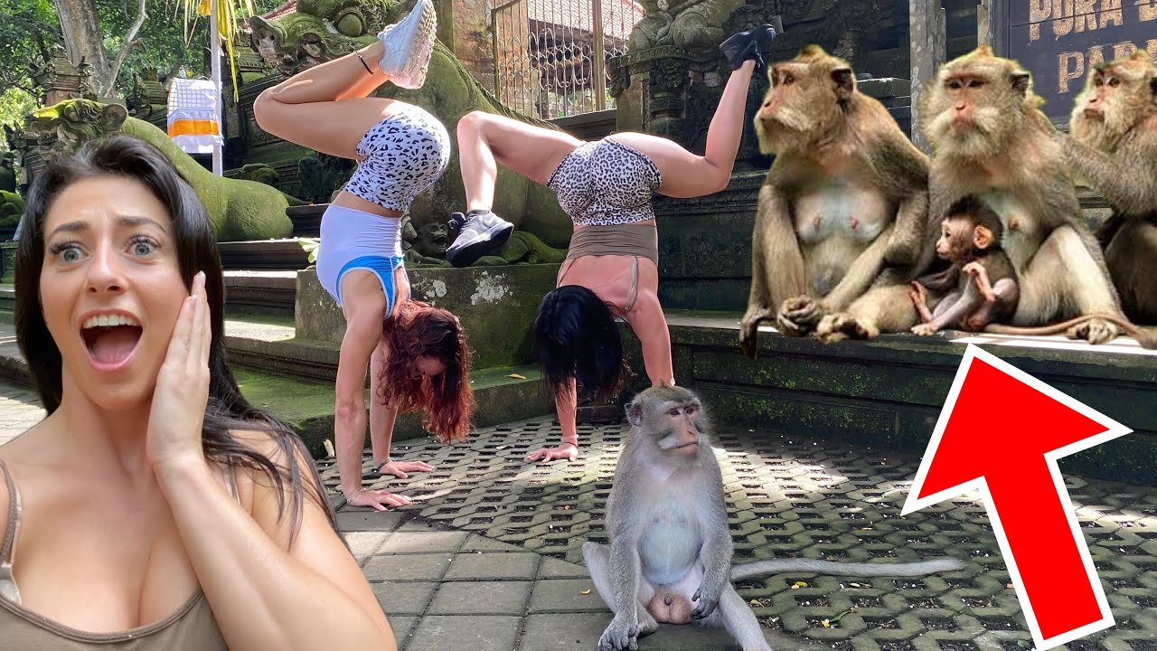 Explorers visit famous monkey forest during trip to Bali