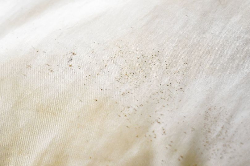 Expert shares red flag bed bug signs you should never ignore
