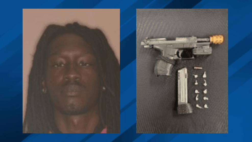 Albany man arrested on felony gun, drug charges after investigation ...