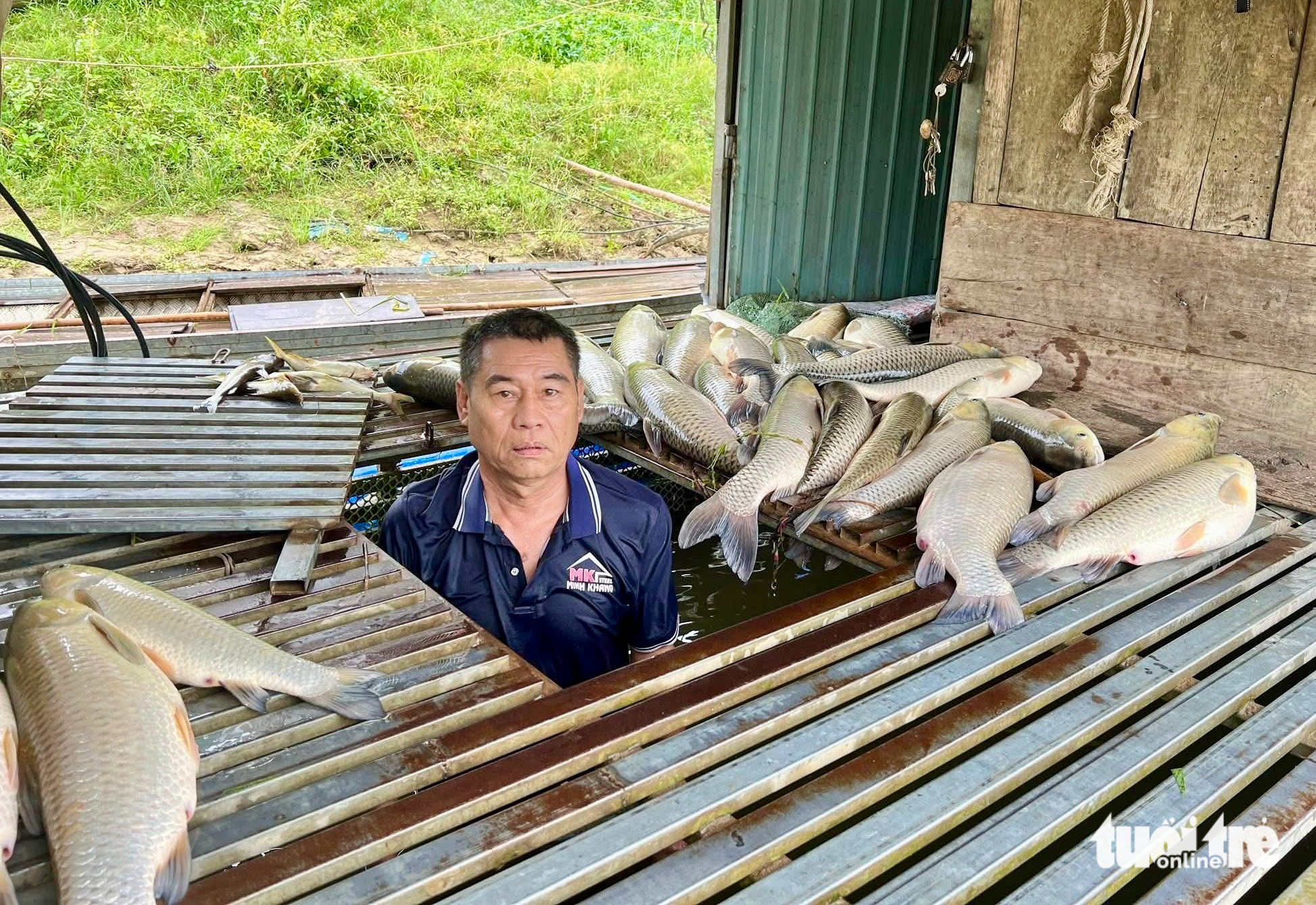 Vụ cá nuôi lồng chết trên sông Lam: Xã đề nghị tỉnh tìm nguyên nhân