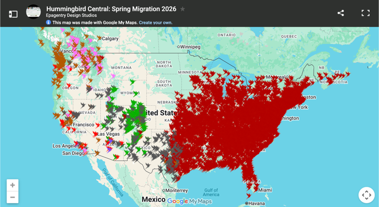 Hummingbirds are back across the US.—so why haven’t you seen one yet?