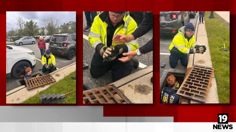 Hudson Fire Department rescues ducklings from storm drain
