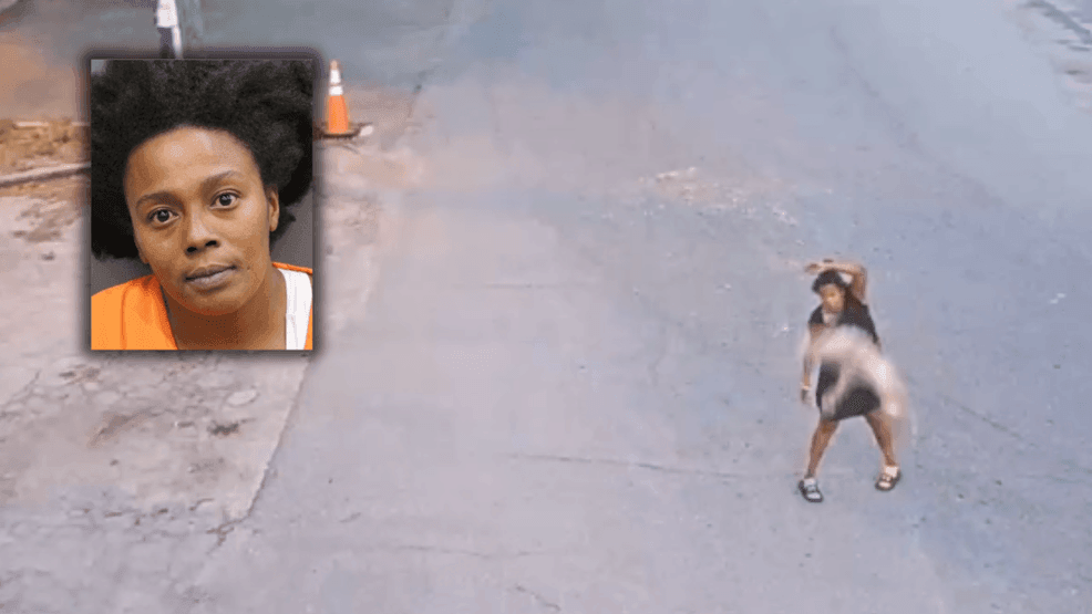 Florida woman faces felonies after brutal dog abuse caught on camera