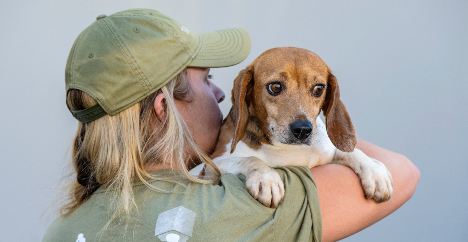1,500 beagles rescued from research lab