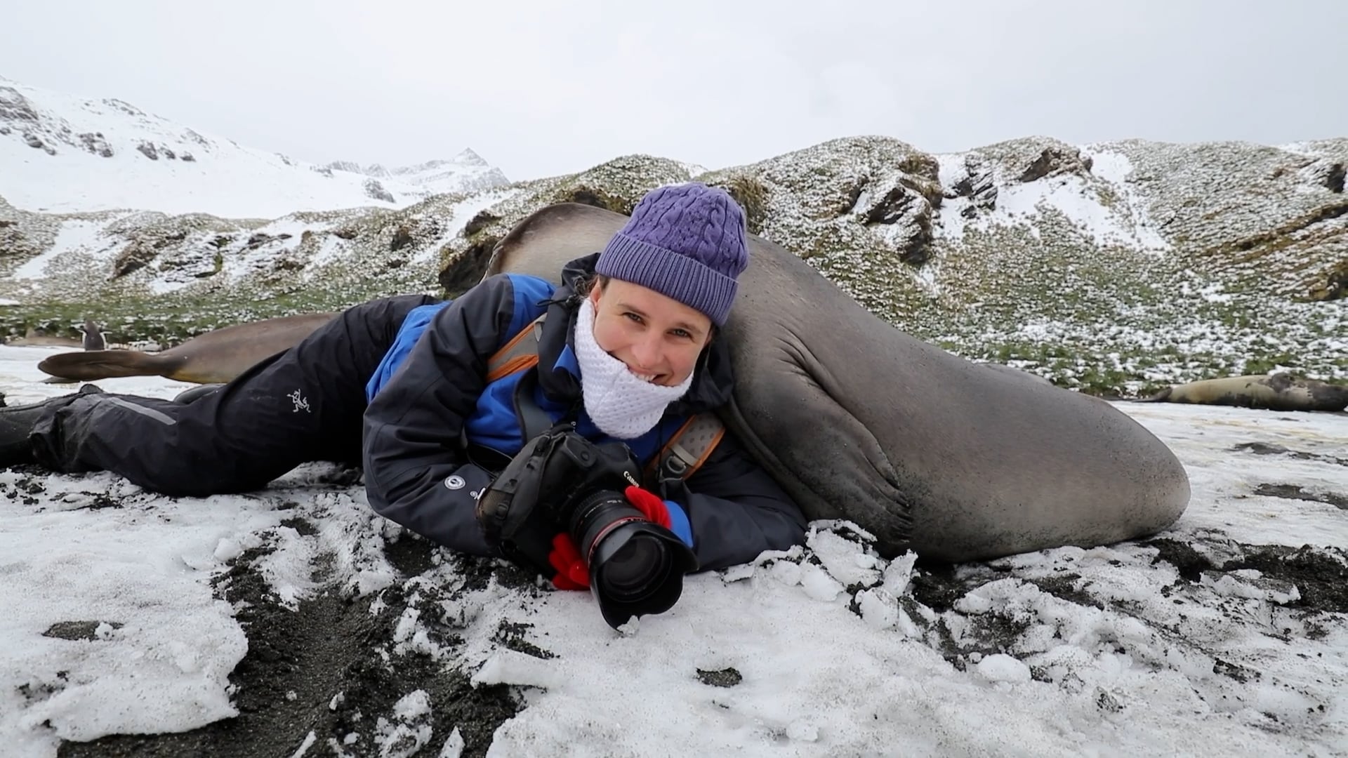 Seal of approval – Wildlife photographer captured the moment his wife ...