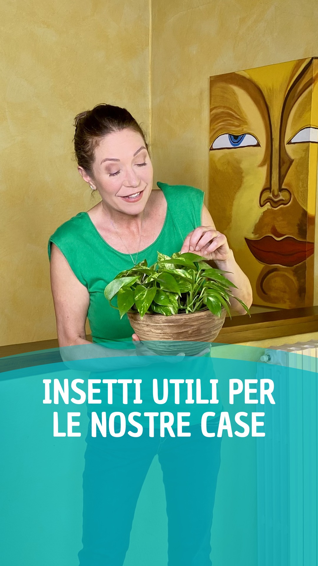 Insetti utili per la nostra casa