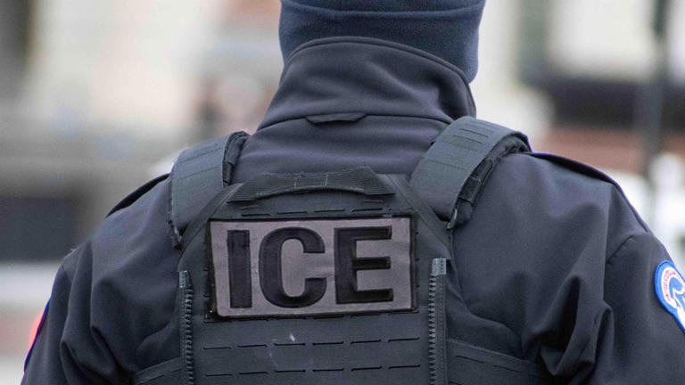 Man dies in ICE custody at Georgia detention center; cause under ...