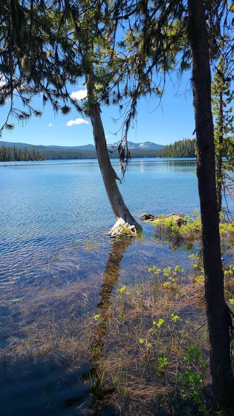 This little-known Oregon escape is full of charm and crystal-clear water