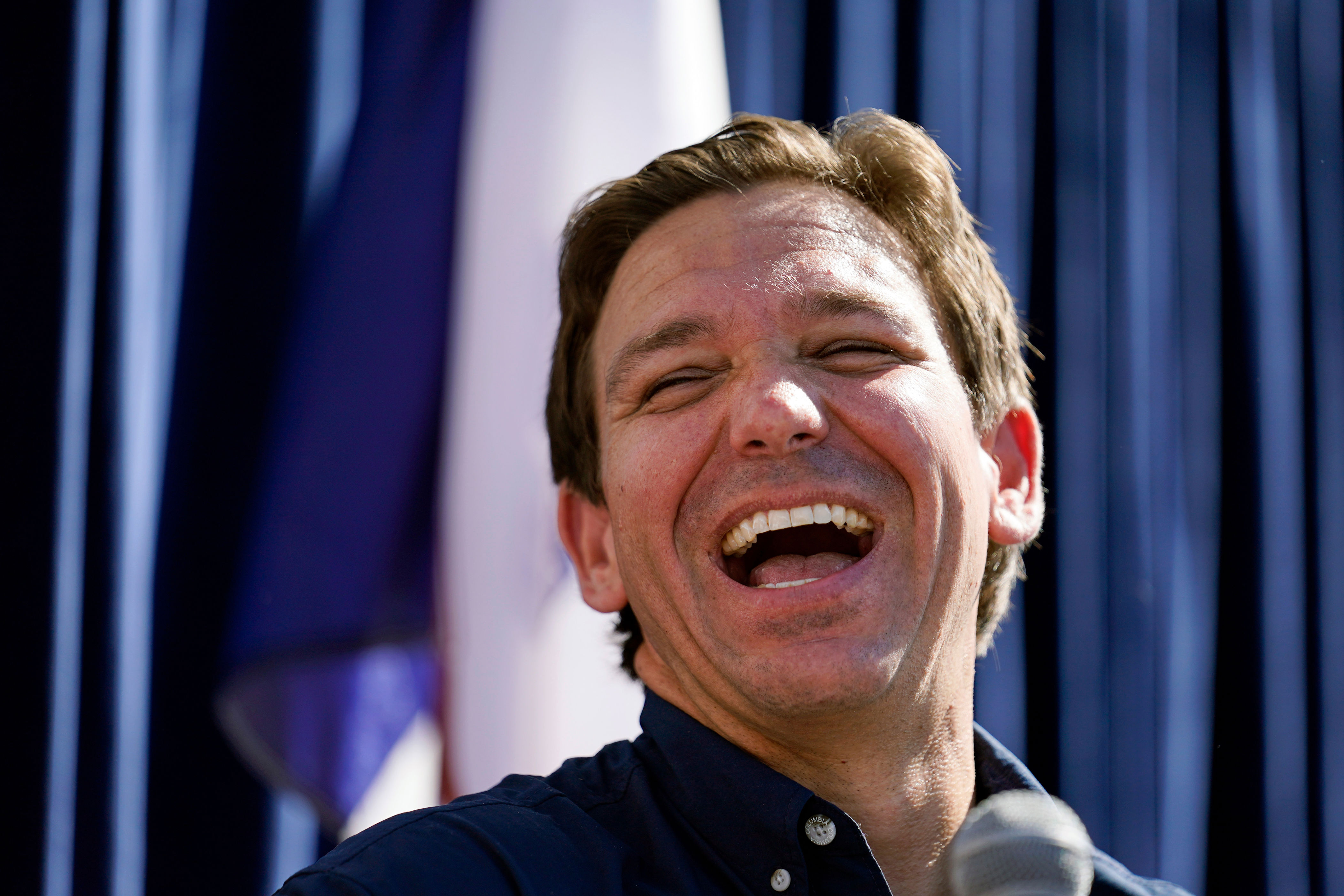 Republican Gov. Ron DeSantis has approved a new congressional map.
