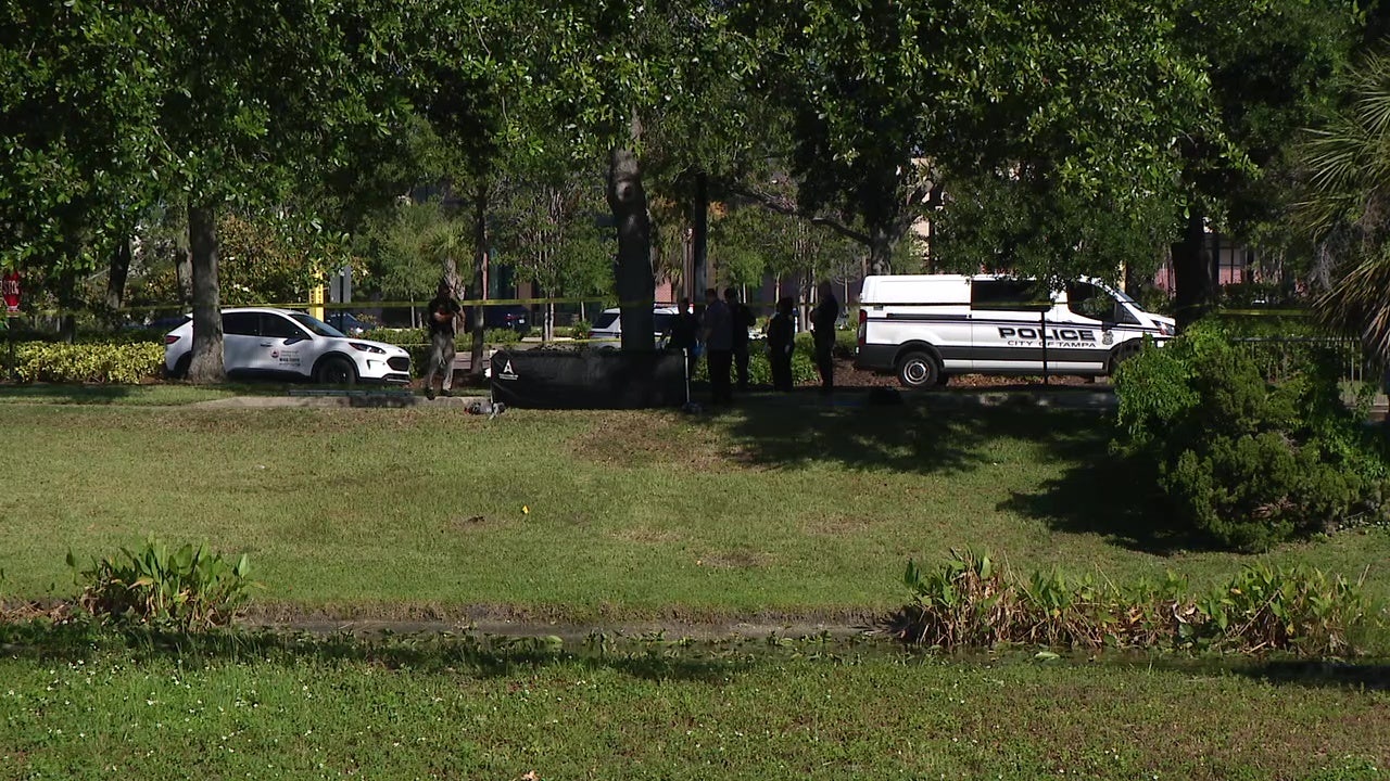 Man found dead in retention pond near International Plaza in Tampa, TPD ...